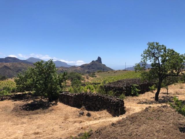 Casa-Finca El Maipez De Tejeda Las Palmas de Gran Canaria Exterior photo